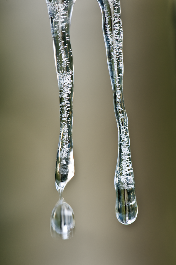 icicle_photo_Maxblack