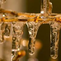 icicle_photos_McLeod icicle_photos_McLeod