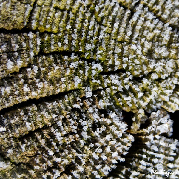 Frosted Post