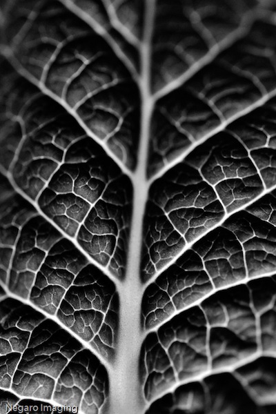 Texture