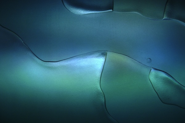 Textured Glass 4