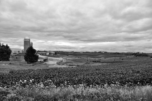 Wisconsin Farmland Wisconsin Farmland