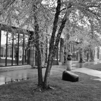 ©Elizabeth Anderson, 2010 www.design-flip.com