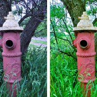 Fire Hydrant Comparison Shot
