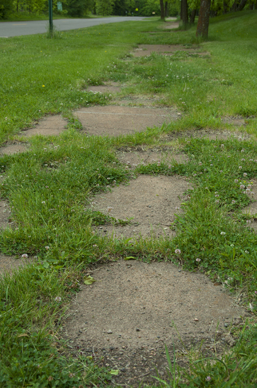 Grass Growing Through the Sidewalk