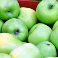 Green Apples Green Apples