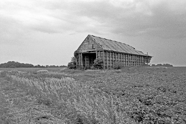 Abandoned Barn