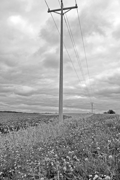 Telephone Poles