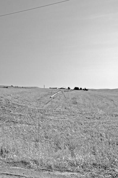 Washington Field