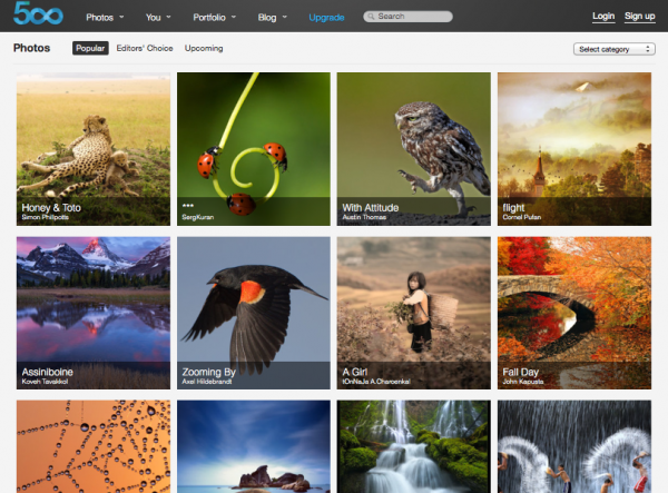 best photo sharing websites for photographers best photo sharing websites for photographers