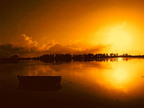 iphone-pictures-bardnaseem