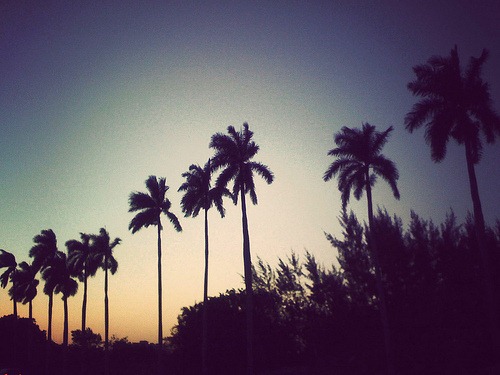 iphone-pictures-jordan
