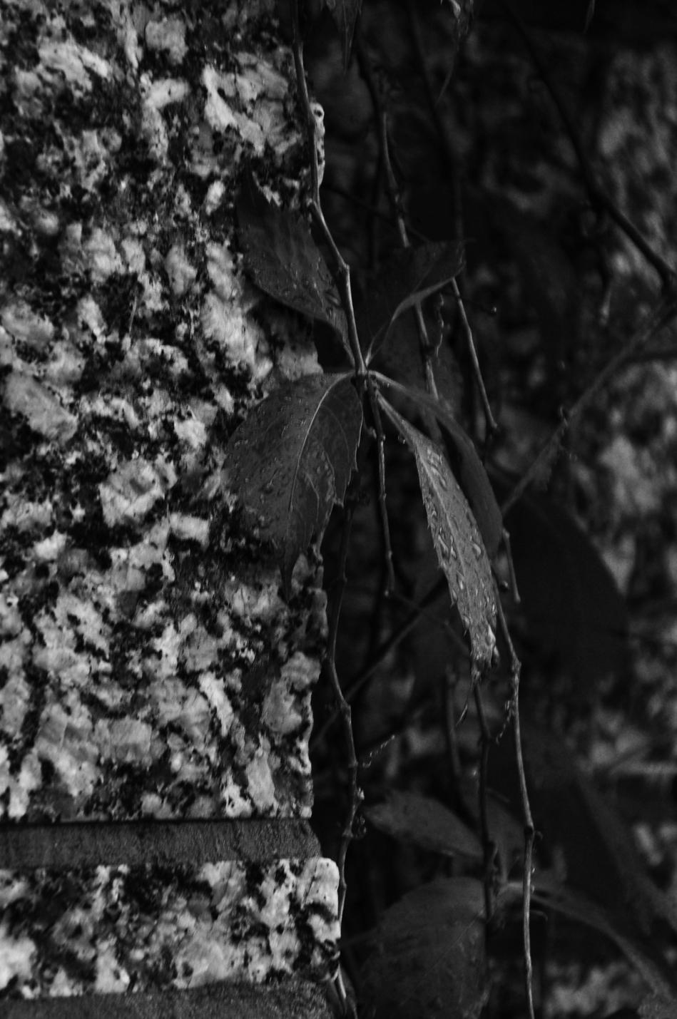 dark filters for photos dark filters for photos