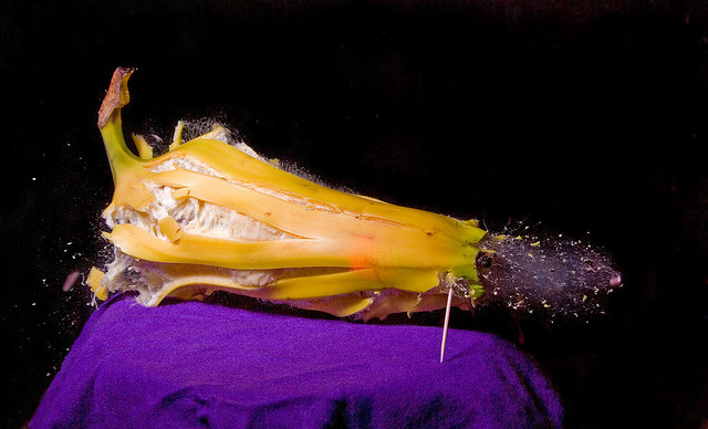 Peeled