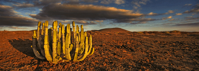Post image for 5 Tips for Great Landscape Photography