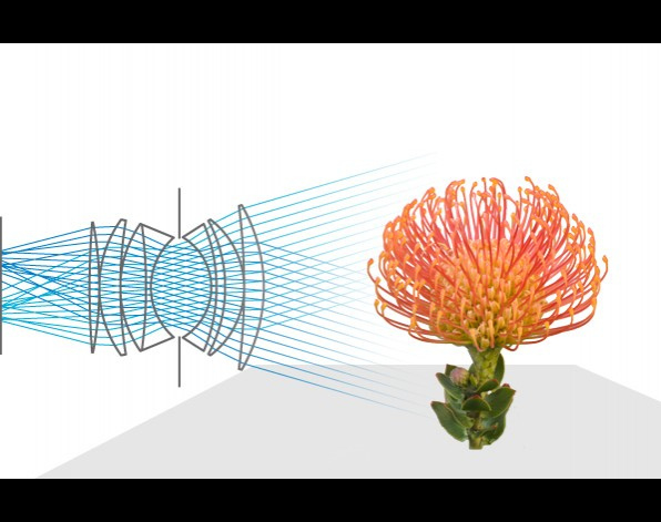 Post image for Lytro Digital Cameras – The Future of Photography?