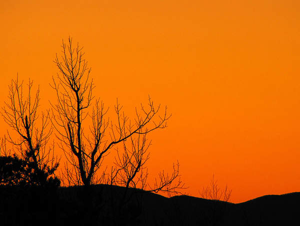 Silhouettes
